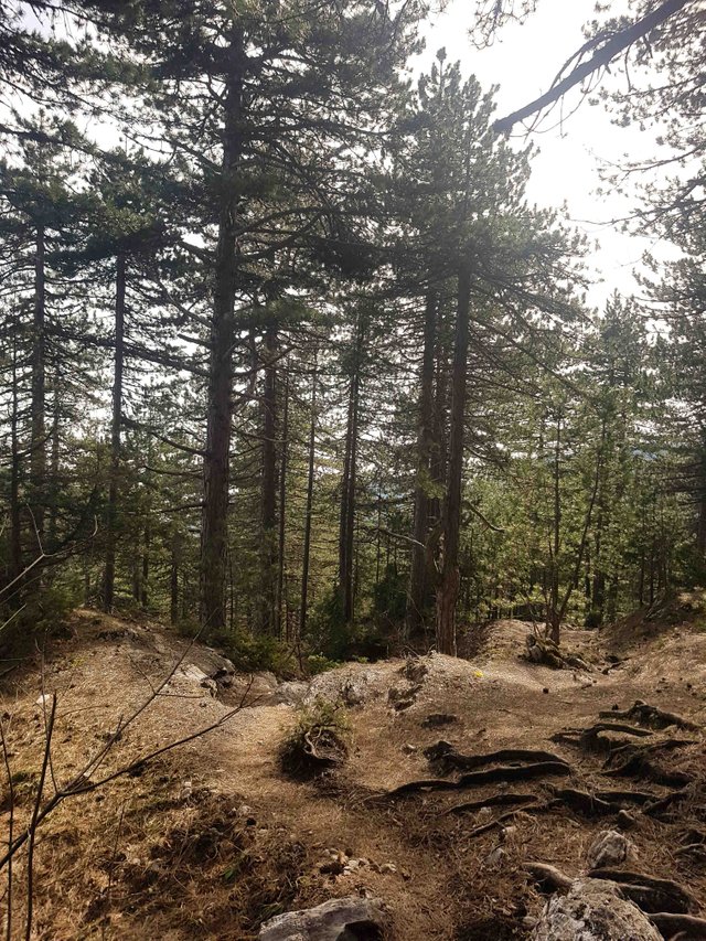 20190309_103442-2.jpg