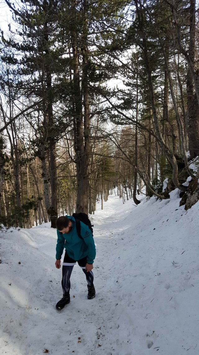 20190309_114428-2.jpg