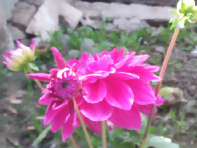 IMG20180130103149.jpg
