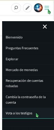 votar testigos1.jpg