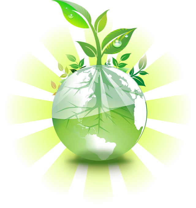 earth-158806_1280.png