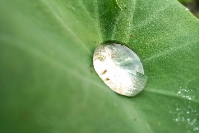 20250410_073543~2.jpg