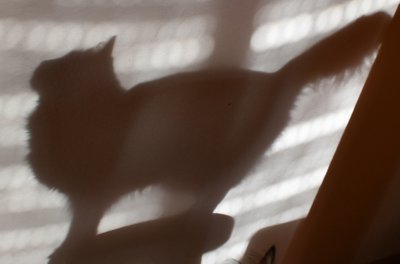 Loki shadow 1.jpg