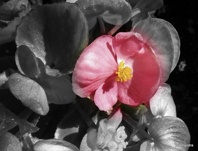 1-20160530_180457.jpg