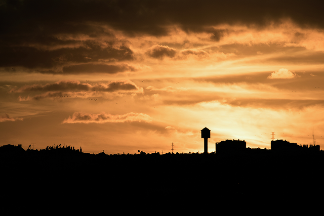 DSC_2480-2-Exp-ST.png