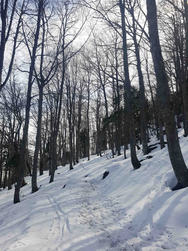 20190309_110756-2.jpg
