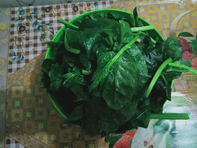 IMG20211001135259.jpg