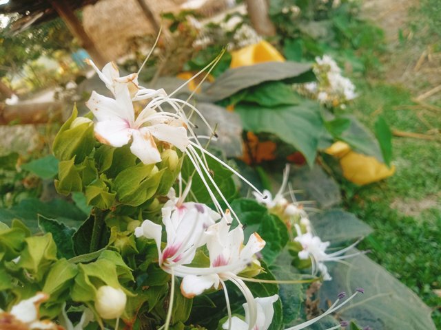 IMG20240404170756.jpg