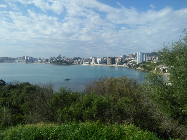 IMG20200328091112.jpg