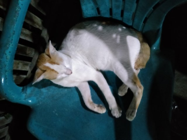 IMG20240703200301.jpg