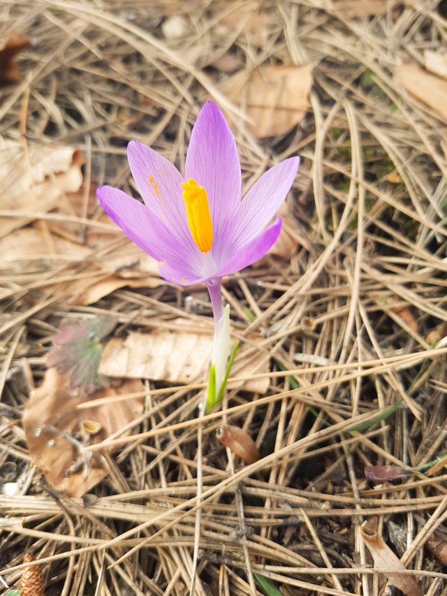 20190309_103421-2.jpg