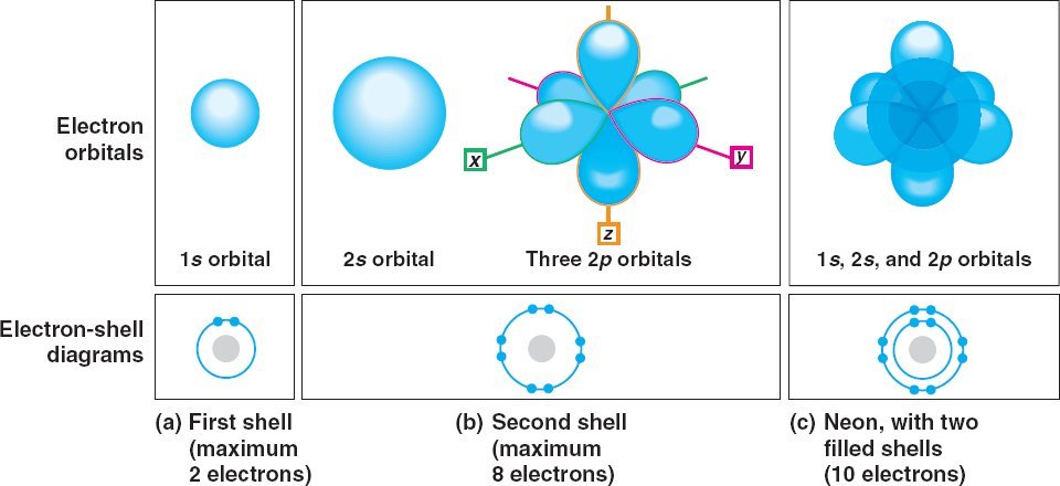There are 4 main "types"of orbitals. f, which is crazy-shaped! 