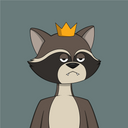 crypto-raccoon