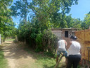 fosila