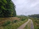 kubasi