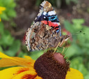 photolens